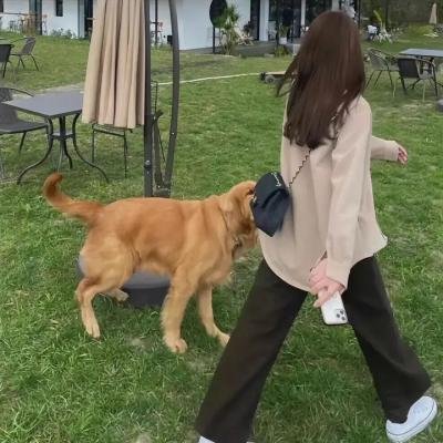 亿万富女