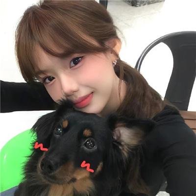 狗狗的疯狂假期
