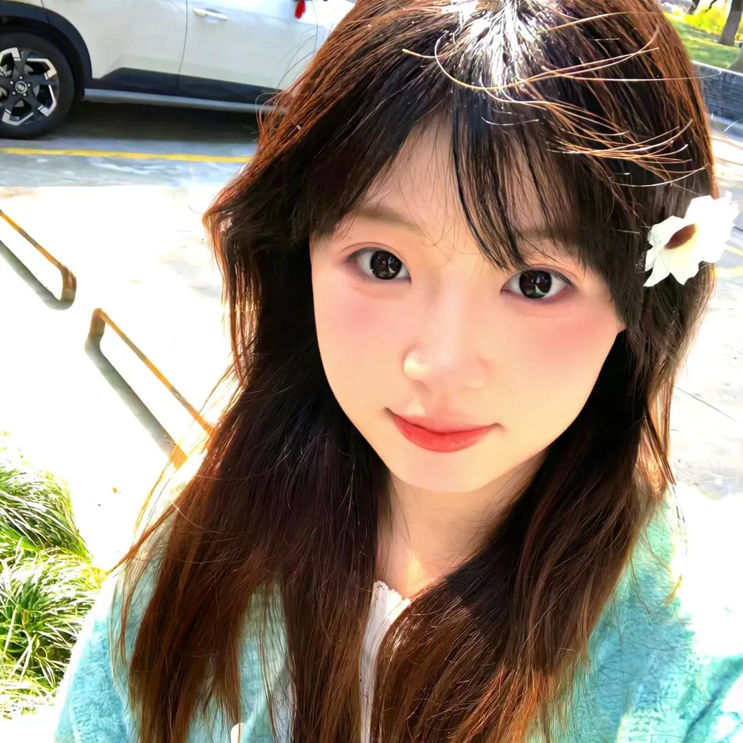 梅与小猫巴士
